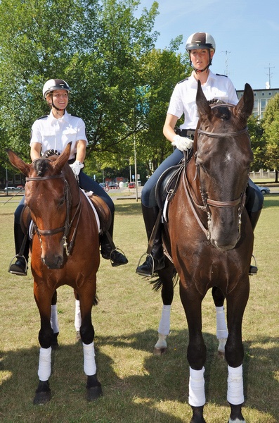 Polizeidirektion   147.jpg